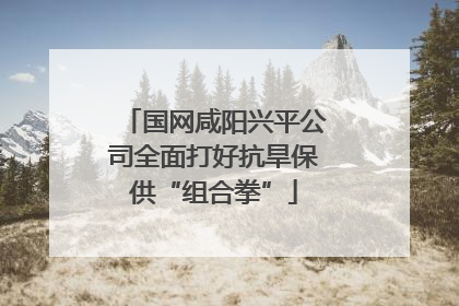 国网咸阳兴平公司全面打好抗旱保供“组合拳”